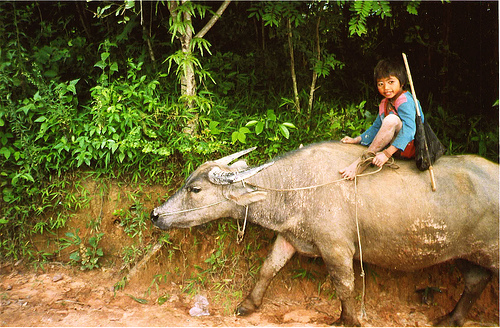 laos-kid-photo-by-mvsaur-at-flickr.jpg