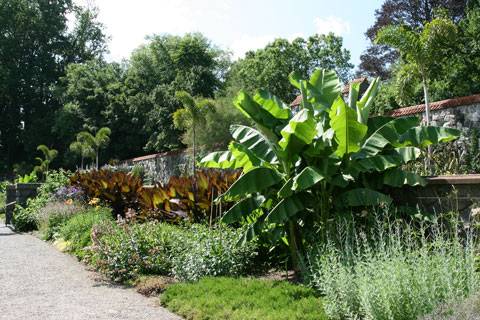 Biltmore Garden